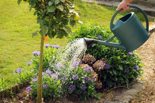 Seasonal hedge trimming showing spring maintenance
