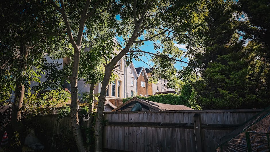 An aerial view of a residential street with terraced houses, each with small private gardens at the back. The gardens exhibit a variety of landscaping styles, featuring well-maintained lawns, flower b
