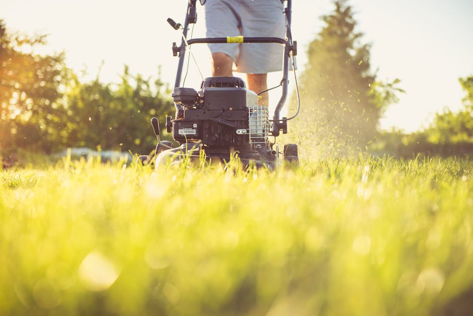 A close-up view of a lawnmower being operated by a person in a garden setting during golden hour, with sunlight illuminating the grass blades and creating a warm glow. The lawnmower is black with a vi