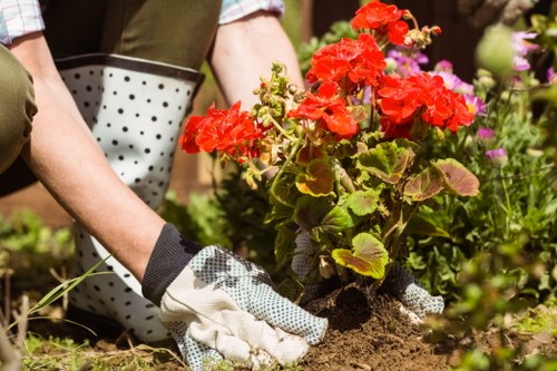 Community gardeners working together in Stockwell